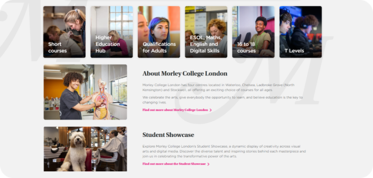 London Learning Hub - BrainFleck